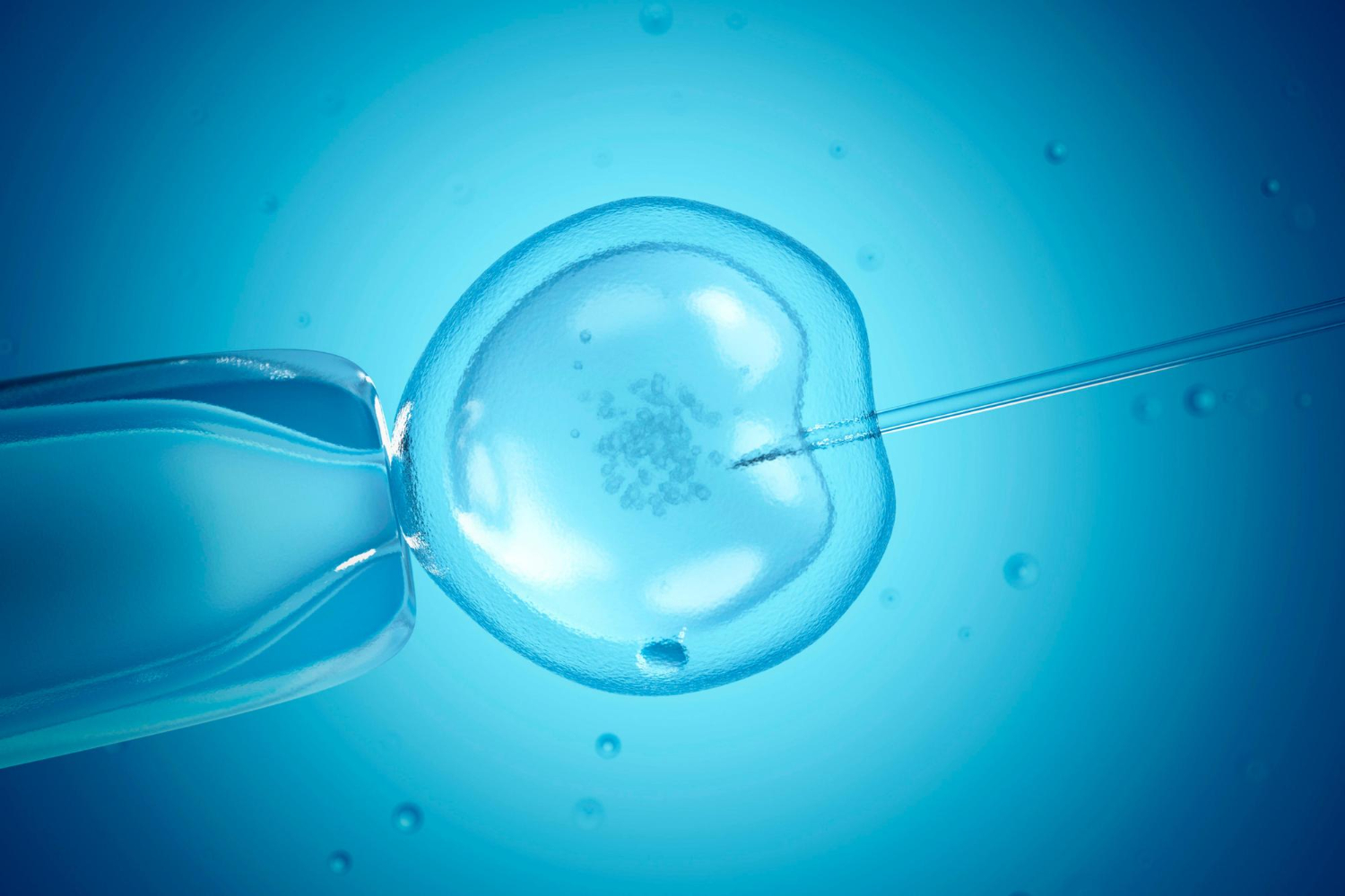 IVF fertility clinic